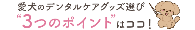 3つのポイント